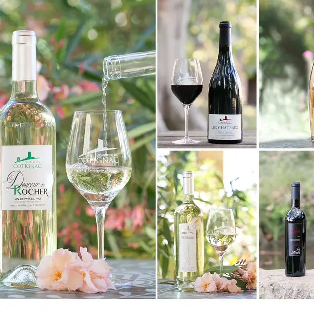 Coopérative Vinicole et Oléïcole Les Vignerons de Cotignac - Cotignac