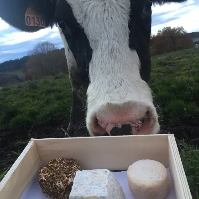 Plateau fromages