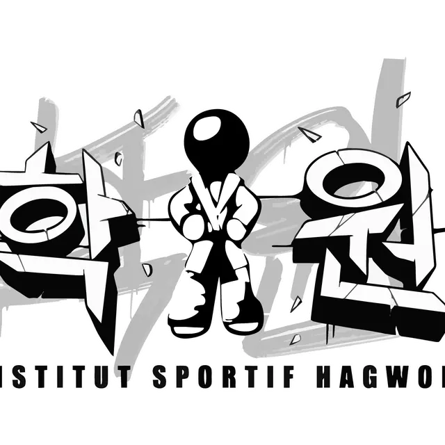 Institut sportif Hagwon_Montauban