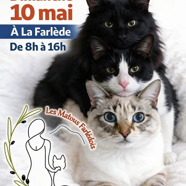 Vide greniers de l'association Les Matous Farlédois_La Farlède