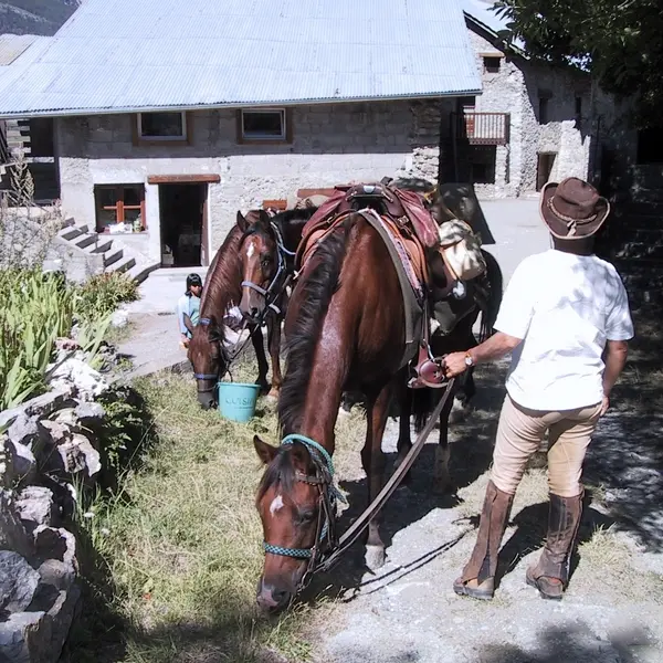 Gîte Ternelia