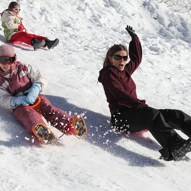 Luge