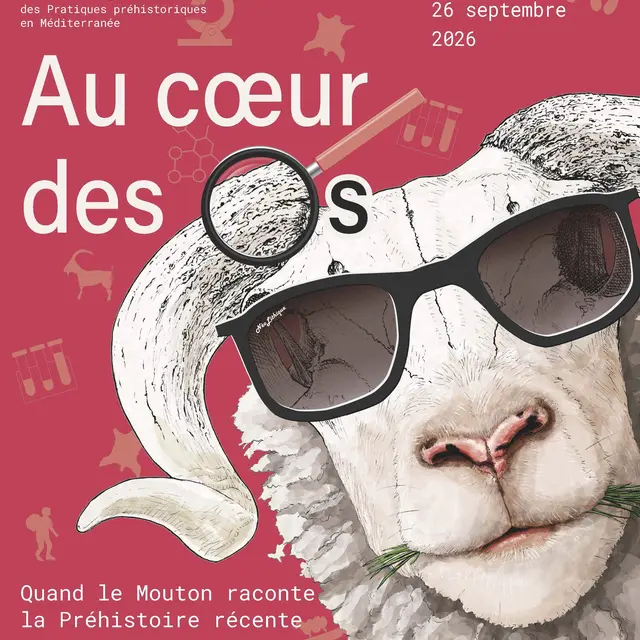 Exposition temporaire « Au cœur des os, quand le mouton raconte la Préhistoire récente »_Orgon