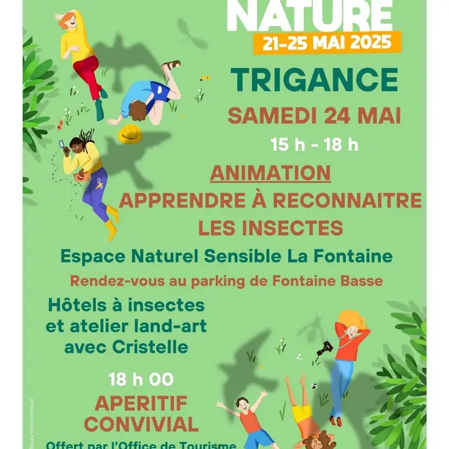 Comment reconnaît-on un insecte ?_Trigance