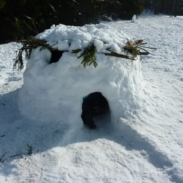 Activité enfant neige igloo