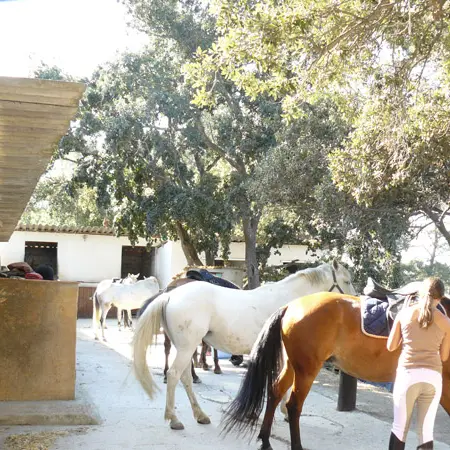 Poney Club des Oratoires