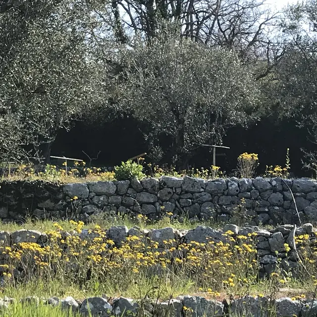 patrimoine