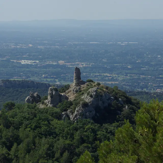 Tour sarrazine