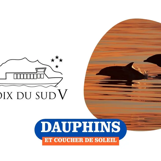 Dauphins & coucher de soleil | La Croix du Sud V_Sanary-sur-Mer