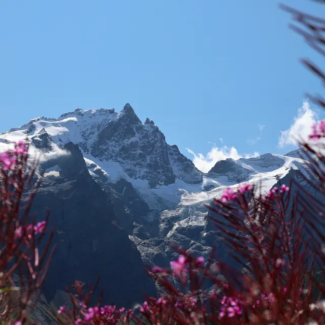 Les Plagnes par les Clots et l'Ardoisière_La Grave