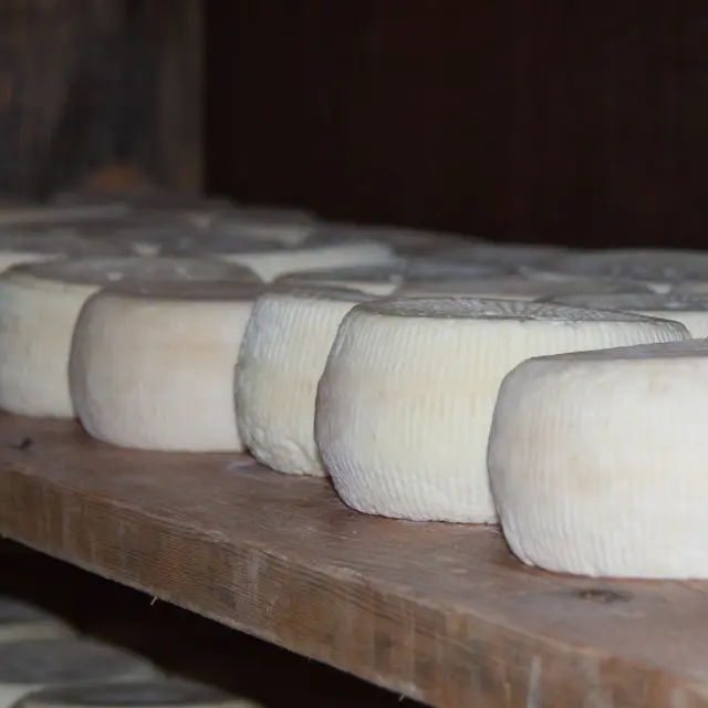 Démonstration de fabrication de crottin et tomme de chèvre_La Toussuire