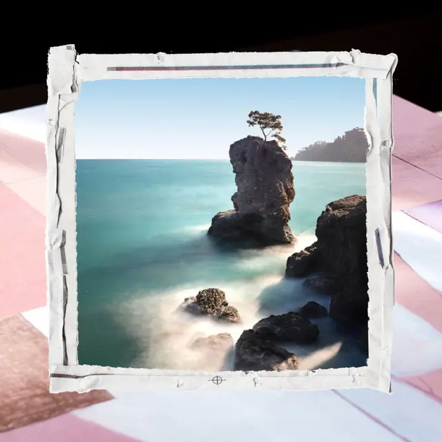 Exposition : Terre d'eau et de lumière_Sanary-sur-Mer