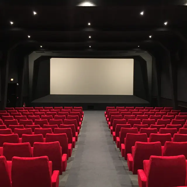 Ciné Léman