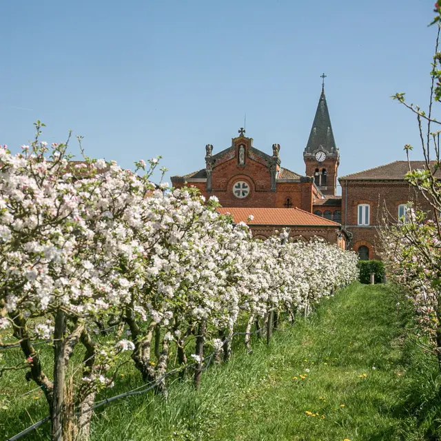 Verger de l'Abbaye