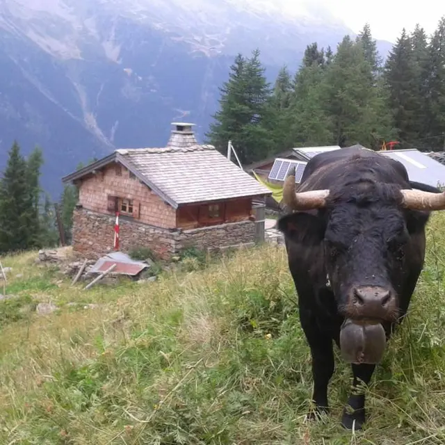 Alpage de blaitière