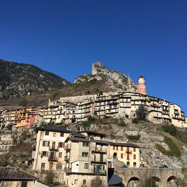 Tende