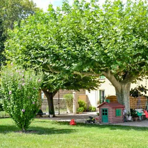 La Maison de Mamé à Althen des Paluds