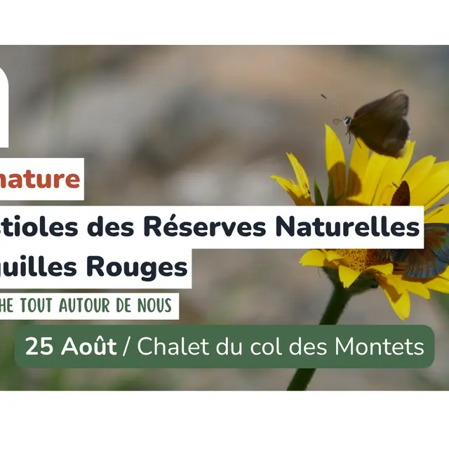 Sortie nature - Les bestioles des réserves naturelles des Aiguilles rouges_Vallorcine
