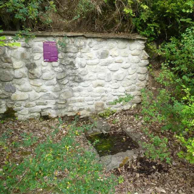 Fontaine des malades de Trescléoux