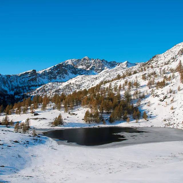 Randonnée raquette à neige - Le lac des grenouilles_Tende