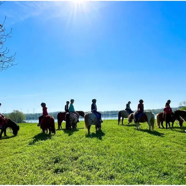 Lac de Maine Equitation