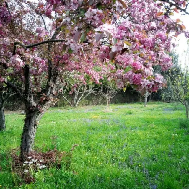 Gîte Hermès_L'Isle-sur-la-Sorgue