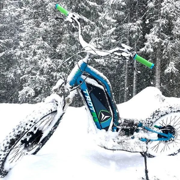 Sortie en Trottinette électrique tout terrain_Megève