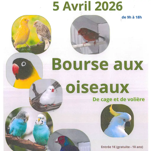 Bourse aux oiseaux_Manosque
