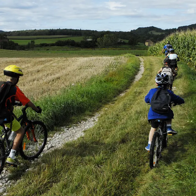 Circuit VTT le champ des vaches