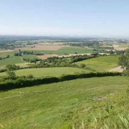 La butte de Montgacon - Les balades de Léa et Tino