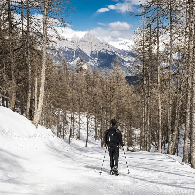 Itinéraire raquettes Les Cabanes - Le Sauze