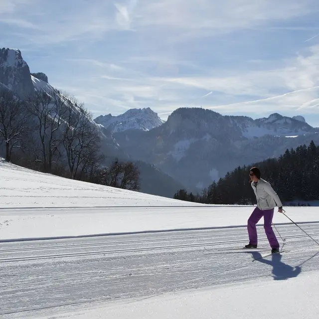 skating avec vue sur les sommets