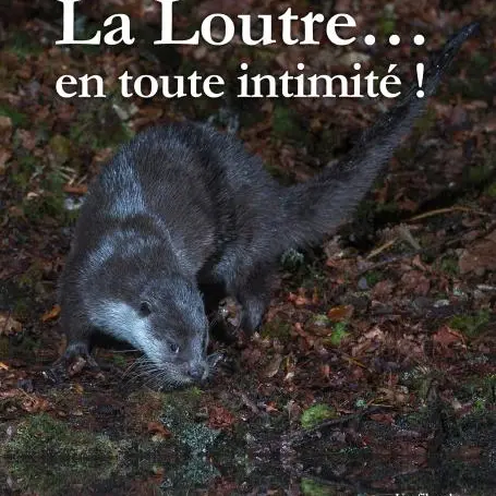 La loutre... en tout intimité_Saint-Sauveur-sur-Tinée