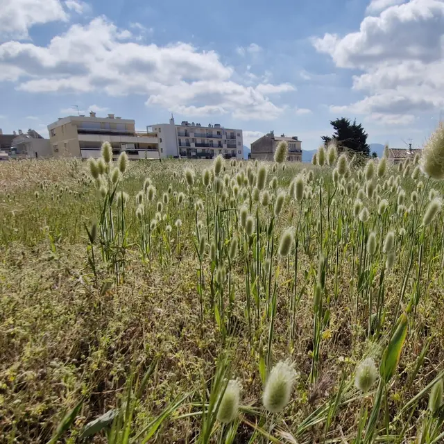 Visite du réservoir végétalisé de Lacédémone à Marseille_Marseille