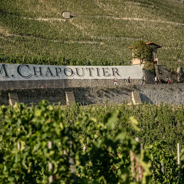 Ecole M. CHAPOUTIER