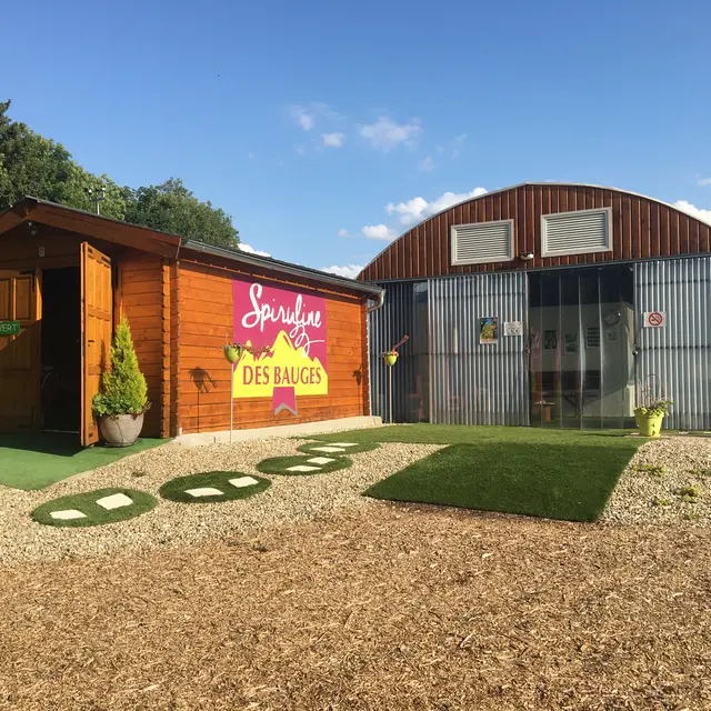 Spiruline des Bauges