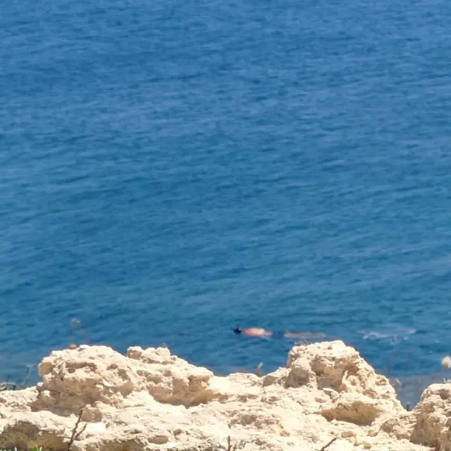 Plongée sous-marine_Martigues