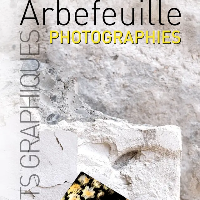 Arts Graphiques et Photographies 2025
