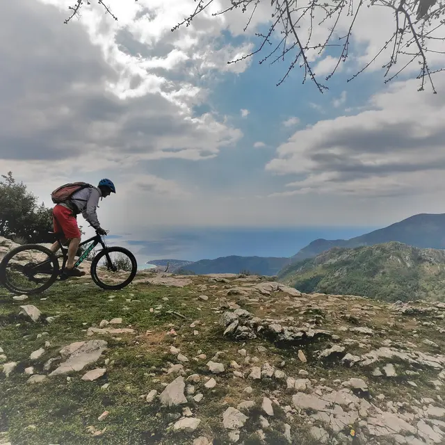 VTT