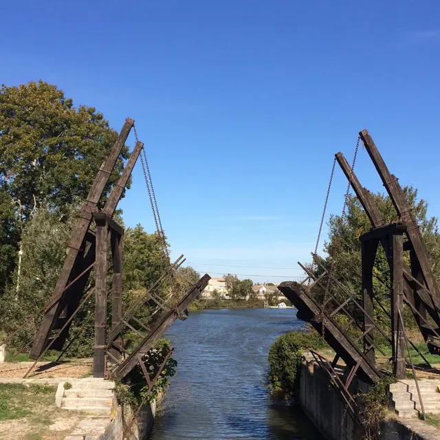 Pont Van Gogh
