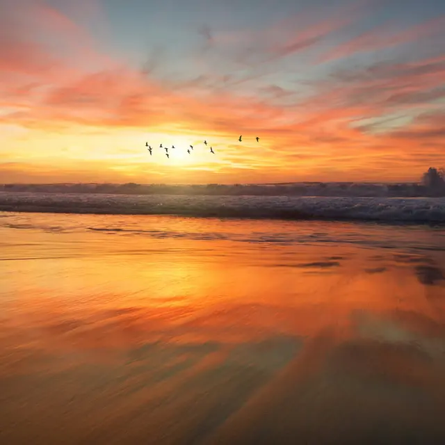 Reveil sensoriel les pieds dans le sable_Les Portes-en-Ré