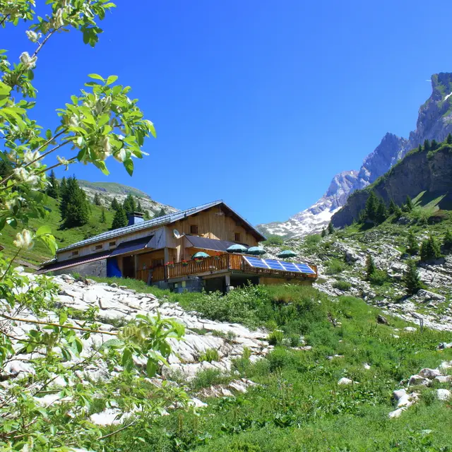 refuge