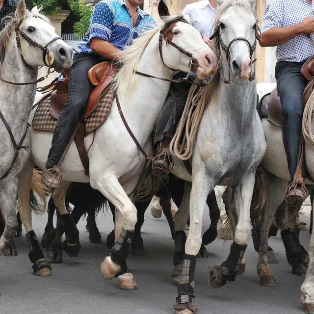 Feria - Course des gardians_Alès