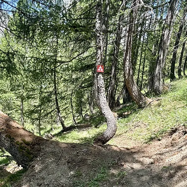 VTT AE : Les Ponchus_La Foux d’Allos