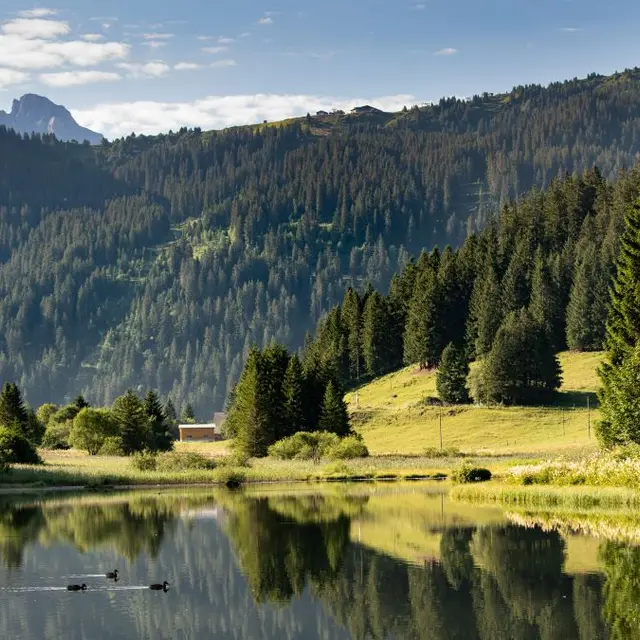 Lac de Morgins