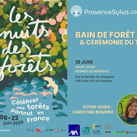 Bain de fôret au sentier du Barjean_Bormes-les-Mimosas