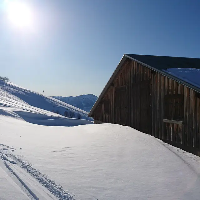 Ski de randonnée : Montée à Pertuiset