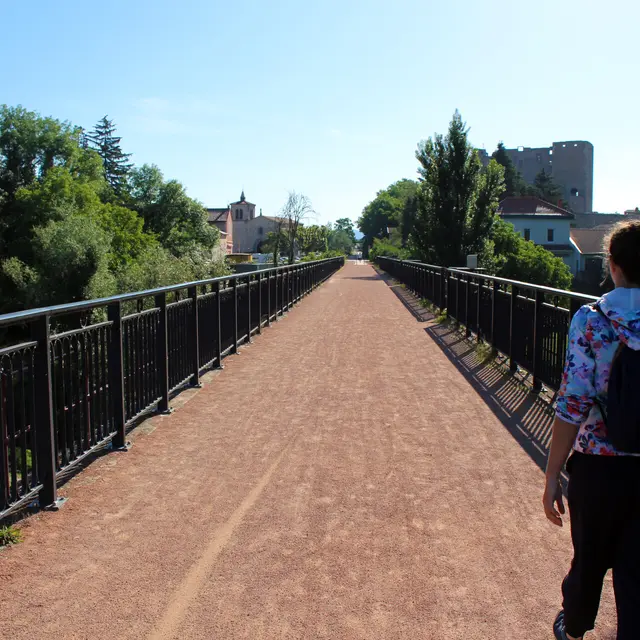 Marche contre le cancer