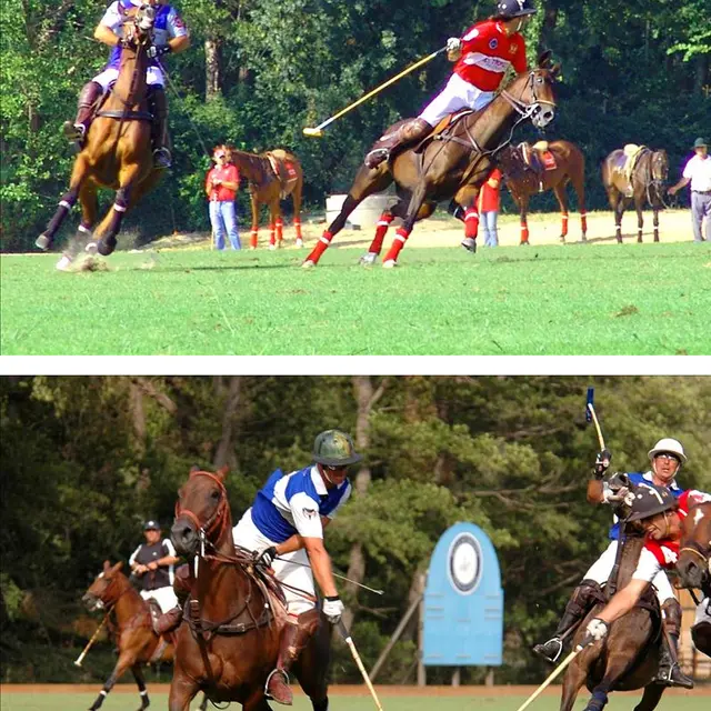 Tournoi de polo - Côte d'Azur cup_Gassin