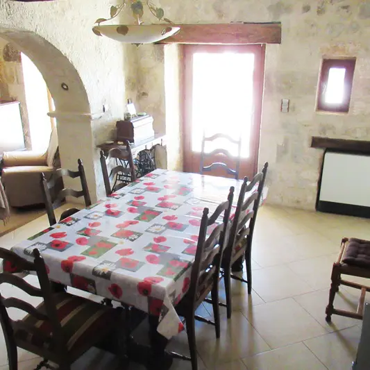 Domaine du Bas Chalus - Pétunia_Forcalquier